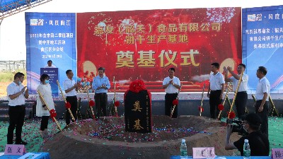 �����jnh���޹�˾�տ���������ص������Բ���ɹ���