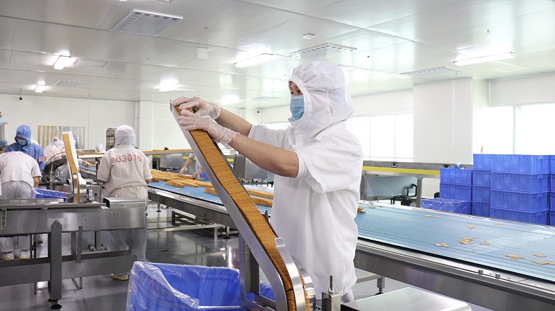 �����jnhЯ�ּ��ѹ��ᷢչ���Ͷ����������� (4)