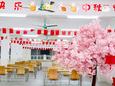 �����jnh-��������